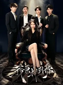 《我要找到你＆恋爱模拟遇真心》：真爱探寻与虚拟恋爱的浪漫交织