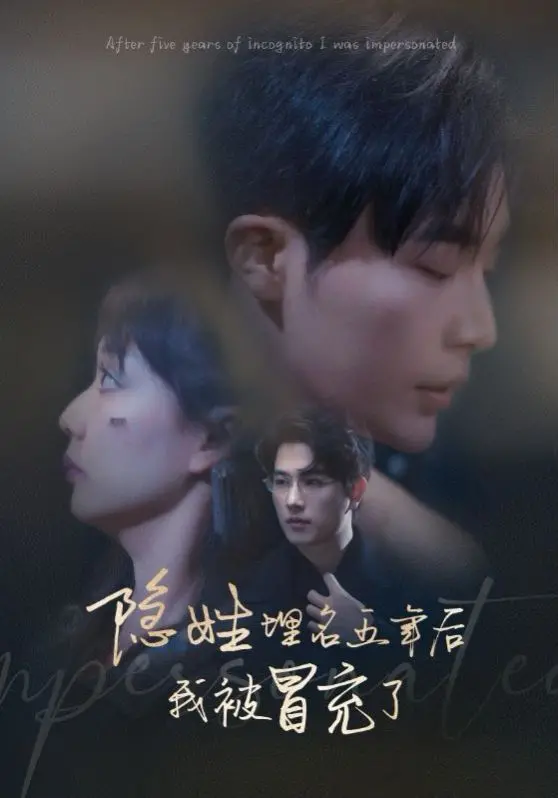 《隐姓埋名五年后我被冒充了》：身份迷局下的惊天反转，一场关于真相与救赎的极致冒险！