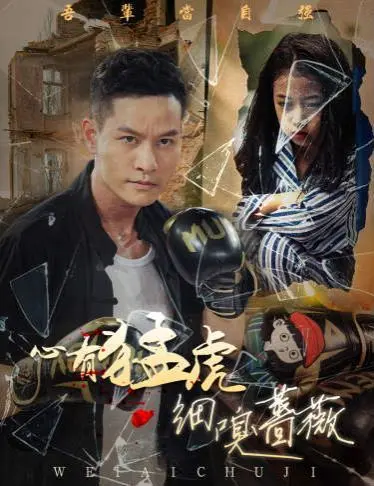 《心有猛虎细嗅蔷薇》：当野性邂逅柔情，一场关于爱与救赎的史诗级情感纠葛