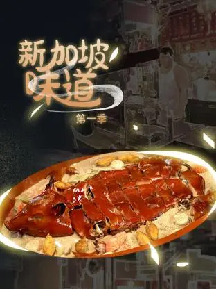 《新加坡味道》：一场舌尖上的寻根之旅，品味华人文化在异乡的独特魅力与传承